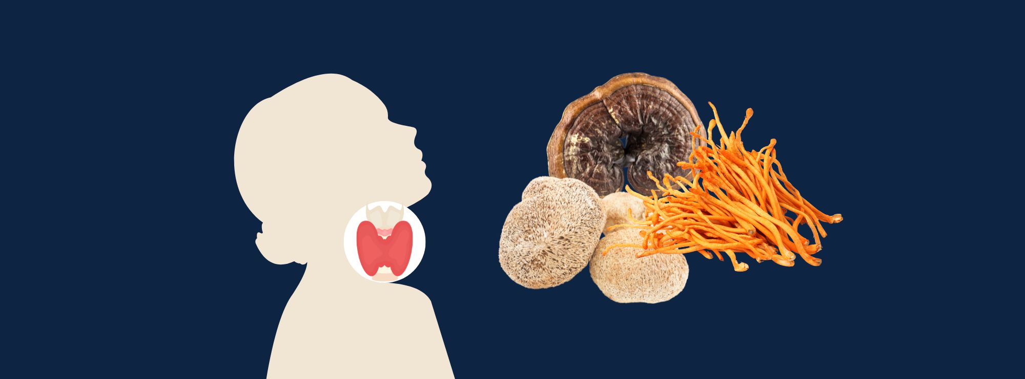Medicinske gljive za Hashimoto tireoiditis